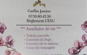 Auxiliaire de vie